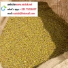 Low price Non-GMO green mung bean from Africa- what&#x27;s app:+22575226037