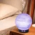 Import Luxury Home Air Fragrance Ultrasonic Aromatherapy Essential Oil Mist Ceramic Flower  Diffuser Humidifier from China