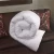 Import Luxury Hotel King Size Comforter from China