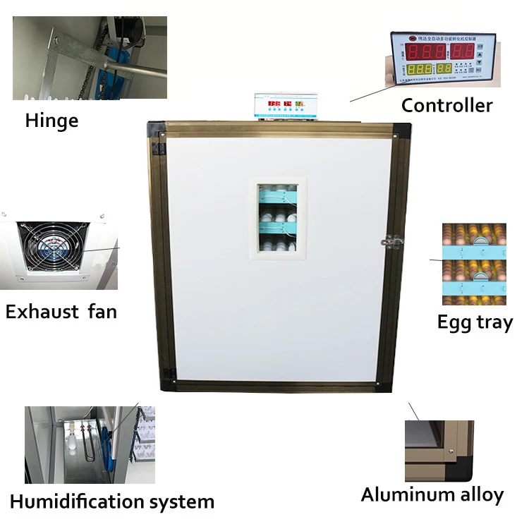Buy Max 560 Incubators Ayam Cemani Hatching Eggs Fully Automatic ...