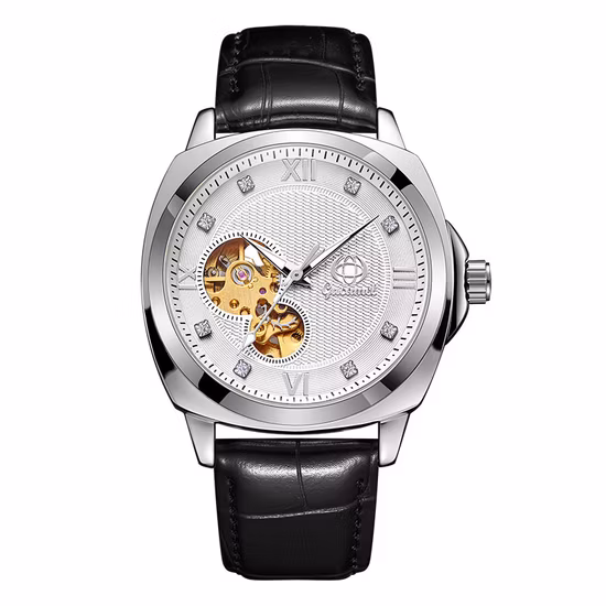 Import Mechanical Watches for Men Skeleton Automatic Moon Phase Men?s Business Relojes Wristwatch Waterproof Moons Watch from China