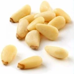 Mediterranean Pine Nuts Kernel | Pine Nuts Supplier