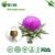 milk thistle in herbal extract milk thistle in stomach &amp;liver healthcare products milk thistle in crude medicine