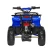 Import mini atv quads with front and rear carrier 110cc 125cc from China