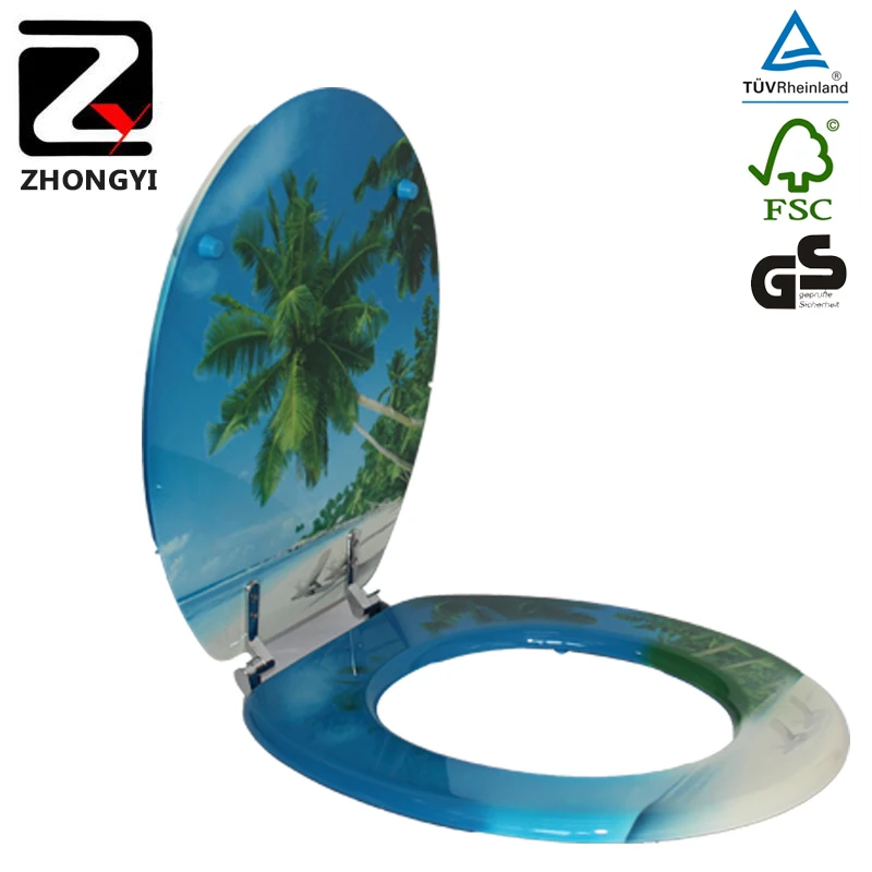 Modern Design Fashionable Low Price Resin Toilet Seat Cover With Hinges