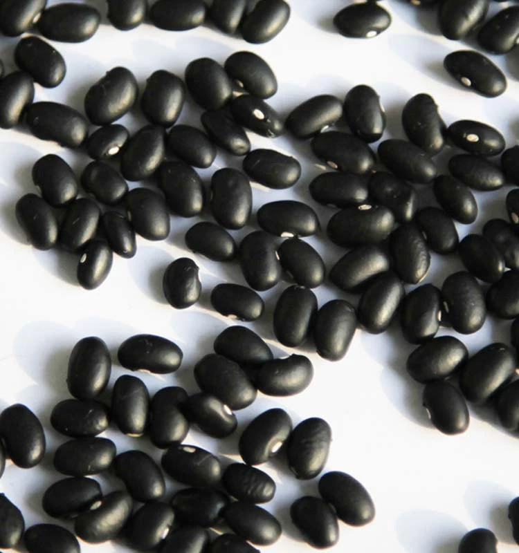 Natural Black Kidney Bean Wholesale Price Dried Kidney Bean.....