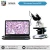 Import Natural Cooling System and Usb Made Micro 5MP Digital Microscope Camera on Global Hot Sale from USA