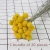Import Natural Dried Flowers Craspedia Billy Balls Dried Flowers for Arrangements Wedding Home Tall Vase Decor Yellow from China