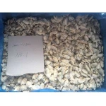 New Coming Shellfish Cooked Frozen Clam Meat
