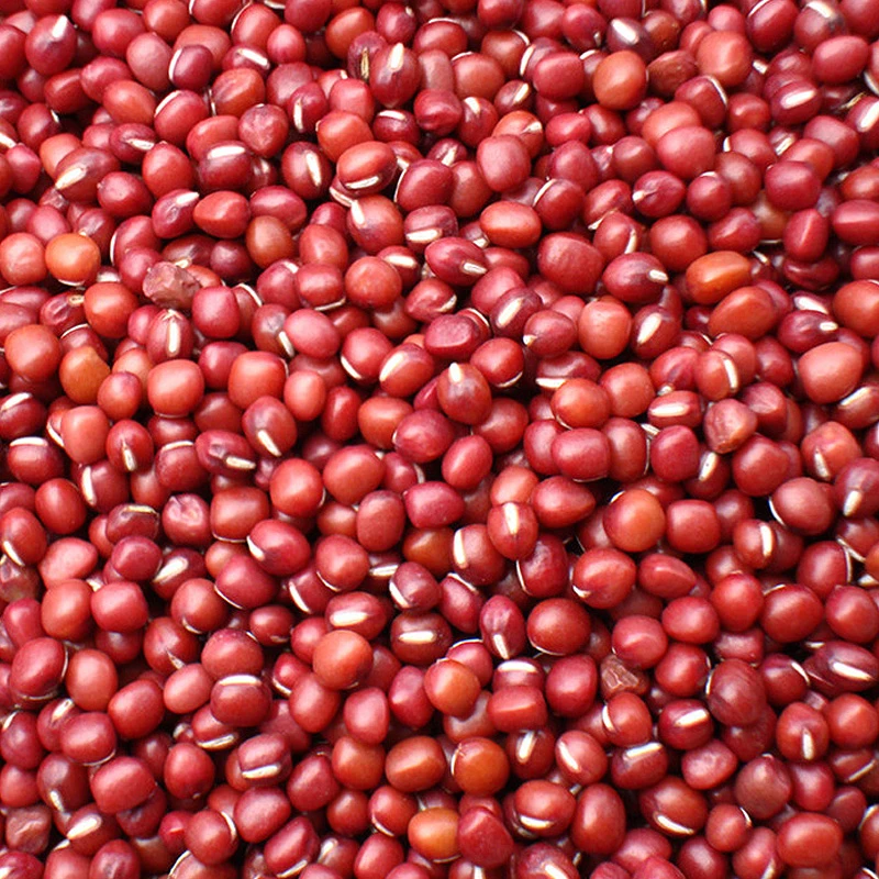 new corp small red adzuki beans