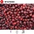 Import New Crop IQF Fruit Frozen Sour Cherry for Wholesale from China