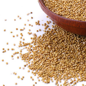 new crop red/ yellow millet for animal food feed