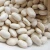 Import New Crop White  Kidney Beans, Butter Beans from South Africa
