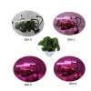 New design Dual head led grow light with timer and remote control