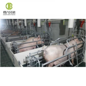New design farrowing crates popular pig farm design breeding pig pen