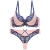 Import New Design Women Bra and Panty Sexy Lace Push Up Bra Set from China