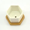 New hot wholesale hexagon white ceramic mini succulent pots with bamboo tray