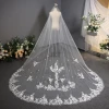 New One -layer Long lace women veils Bridal Veil For Wedding Dress bridal soft lace edge  face veil with comb