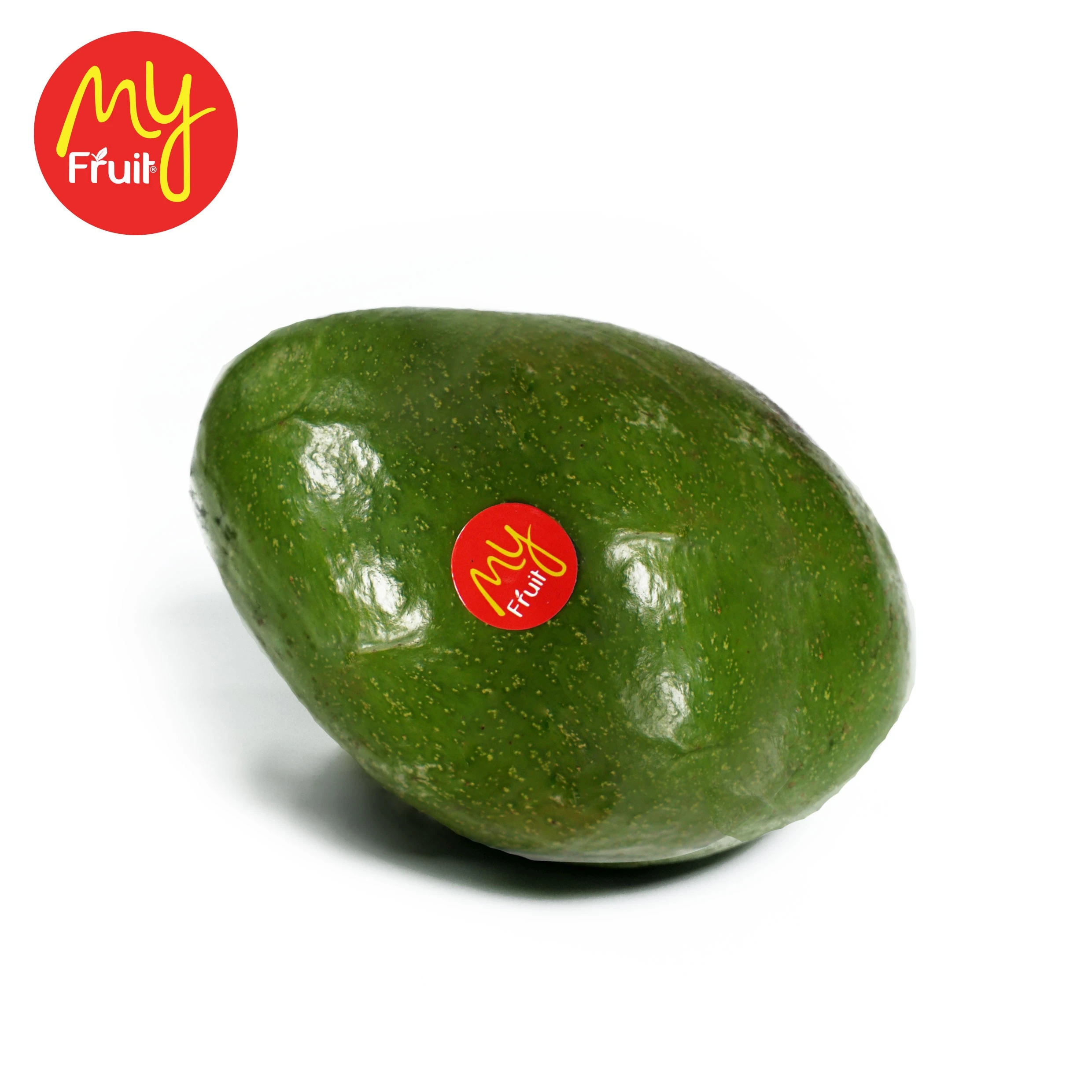 New Product Fresh Avocado Natural color Bulk Packaging