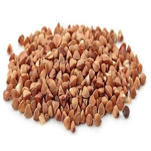 non-gmo buckwheat
