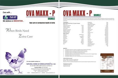 Optimizes Ovulation and increase Egg production (Quality & Quantity) in Layer and Hens