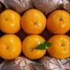 orange from Pakistan