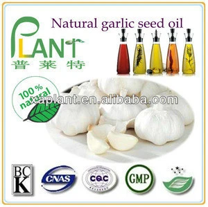Organic garlic oil extraction price