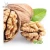 Import Organic nut - in shell price from 20 tons - wholesale walnut ukraine from Ukraine