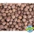 Organic nut - in shell price from 20 tons - wholesale walnut ukraine