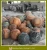 Import outdoor decoration stone carved golf ball from China