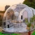 Import Outdoor Transparent  Eco Living Camping Dome Green House for Glamping Tent/ Sunroom / Hotel from China