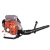 Import Petrol Engine Backpack Leaf Blower from China