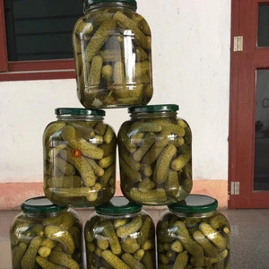 Pickled cucumber spring seasonin jar 1500ml