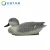 Import plastic duck hunting decoy Plastic Greenhead Duck Floater Decoys Duck Hunting Decoy for Decoration from China
