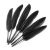 Import PM-038 4- 6 inches 10-17 cm colorful Goose feather from China