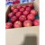 Import popular flavor high quality and cheap price fuji apple fresh fruit from Japan