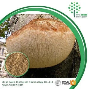 Powdered dietary supplement lions mane mushroom powder extract