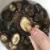 Import Premium Quality Dried Shiitake Mushroom White mushroom Hot product mushrooms / Ms. Gina +84 347 436 085 (WhatsApp) from China