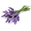 Professional Make Natural Lavender Hydrosol