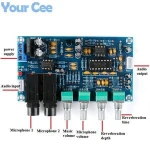 PT2399 Digital Microphone Amplifier Board Karaoke Reverberation Board Karaoke OK Amplifier Module Dual AC12V Electronic DIY PCB