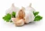 Import Qualified fresh garlic from China from China