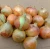 Import Quality assurance wholesale fresh plump and large natural yellow onions china onion from China