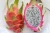 Import Quality Fresh Dragon Fruit With Competitive Prices from South Africa
