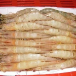 Quality Live Frozen Lobster