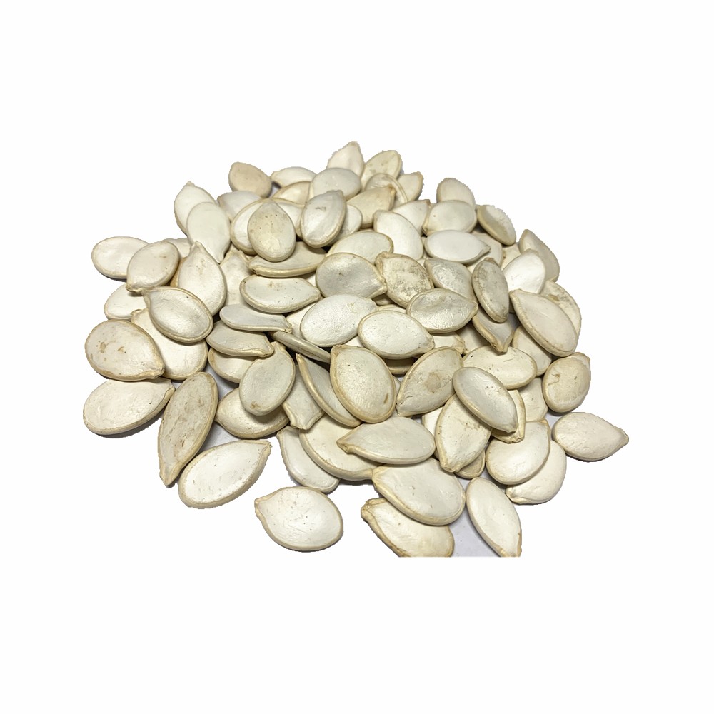 Raw &amp; dried 13mm snow white pumpkin seeds  for hot sale