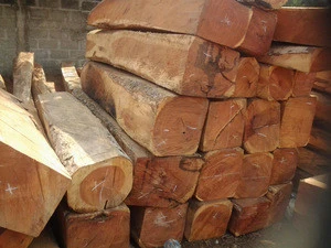 Red And White Sandalwood Logs/ Red Cedar Wood Timber price