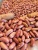 Import red kidney beans /pinto beans sugar beans.. from South Africa