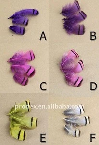 roster feathers,feather extensions, Pheasant Feather, grizzly rooster feathers, hair feathers wholesale