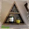 Rustic CD Game Wooden Display Triangle Shelf Home Decor Wall Mounted Storage holder Custom Tier Single or Set Display