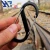 Import S shape biner, double gated carabiner hook from China